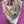 Load image into Gallery viewer, ARB Hand Painted Bandana-Magenta
