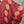 Load image into Gallery viewer, JG- Multi Kantha Sunrise Tunic-C
