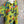 Load image into Gallery viewer, Z6653 Painters Top-Kiwi
