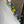 Load image into Gallery viewer, 26N256 Larger Rose Bud Necklace
