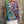 Load image into Gallery viewer, BBZ-033 Summer Sweaters— Panthera
