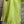 Load image into Gallery viewer, MP-HLT561 Ruffle Hem Top-Kiwi

