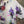 Load image into Gallery viewer, 91877-52 Artful Bloom Dress-White
