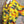 Load image into Gallery viewer, Z6653 Painters Top-Lemon
