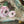 Load image into Gallery viewer, ARB Hand Painted Bandana-Sage
