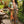 Load image into Gallery viewer, MOTS Opera Duster Kimono Robe-Secret Garden
