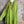 Load image into Gallery viewer, 91750S Stripe Big Shirt-KIWI
