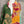 Load image into Gallery viewer, 1013w Long Kurta Shirt Dress-Abby
