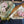 Load image into Gallery viewer, ARB Hand Painted Bandana-Sage
