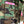 Load image into Gallery viewer, CT Remix Camo Spunk Ruffled Jkt
