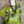 Load image into Gallery viewer, 91877-52 Artful Bloom Dress-Kiwi
