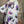 Load image into Gallery viewer, 91877-52 Artful Bloom Dress-White
