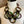 Load image into Gallery viewer, NMB704 Marble Rings Necklace-Green Mix
