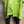 Load image into Gallery viewer, 91225 Flower Garden Linen Top-Kiwi
