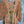 Load image into Gallery viewer, Woman wearing DYM90081 Bloomspell Maxi Dress in orange floral print with pink Converse sneakers in boutique setting - 5

