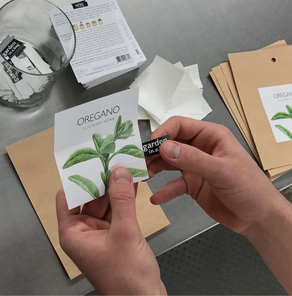 CGBSNAP Garden In A Gift Bag-Snapdragons