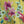 Load image into Gallery viewer, 90847G Garden Tea Party Dress-Mango
