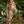 Load image into Gallery viewer, MOTS Linen Crop Artist Pant-Stay Gold
