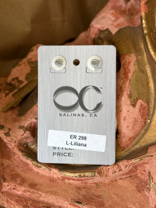 298 Drama Dangle Earrings