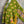Load image into Gallery viewer, 1040w Kantha Long Sleeve Jacket-Eve
