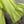Load image into Gallery viewer, MP-HLT651 Baby Doll Top-Kiwi
