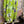 Load image into Gallery viewer, 91877-52 Artful Bloom Dress-Kiwi
