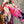 Load image into Gallery viewer, 7063V Block Dyed Justly Top-PINK MIX
