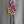 Load image into Gallery viewer, 26N144 Double Daisy Bolo Necklace-C MIX
