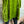 Load image into Gallery viewer, 6024 CUTLOOSE Velvet 2 Pkt Top-FRog
