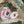 Load image into Gallery viewer, ARB Hand Painted Bandana-Sage

