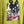 Load image into Gallery viewer, Lime green knit top with Never Grow Up graphic print, styled with green chain ring necklace and olive pleated skirt - 5
