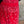 Load image into Gallery viewer, 5791 Bandana Crop Pant-RED
