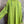Load image into Gallery viewer, 91750S Stripe Big Shirt-KIWI
