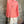 Load image into Gallery viewer, TEE004N Net Rex Top
