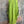Load image into Gallery viewer, 91750S Stripe Big Shirt-KIWI
