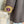 Load image into Gallery viewer, 5033-62 Bohemian Sunflower JKT
