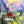 Load image into Gallery viewer, Inoah's Artful 2 Look Raincape-Cats Dream
