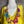 Load image into Gallery viewer, 26N145 Coneflower Combo Necklace-A Spring Mix
