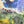 Load image into Gallery viewer, Inoah's Artful 2 Look Raincape-Cats Dream
