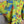 Load image into Gallery viewer, Z6653 Painters Top-Kiwi
