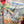 Load image into Gallery viewer, Inoah's Artful 2 Look Raincape-Daydream Plaza
