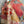 Load image into Gallery viewer, 6113PW Santa Maria Tunic Dress
