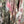 Load image into Gallery viewer, PLC220 Wanderlust Wine Duster

