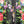 Load image into Gallery viewer, ED24K95 Zinnia Floral Pant
