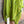 Load image into Gallery viewer, 91750S Stripe Big Shirt-KIWI
