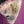 Load image into Gallery viewer, ARB Hand Painted Bandana-Magenta

