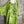 Load image into Gallery viewer, 91225 Flower Garden Linen Top-Kiwi
