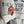 Load image into Gallery viewer, 4842 Upcycled Wearable Art Jkt-Ralphies Gals
