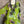 Load image into Gallery viewer, 91877-52 Artful Bloom Dress-Kiwi

