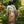 Load image into Gallery viewer, MOTS Opera Duster Kimono Robe-Secret Garden
